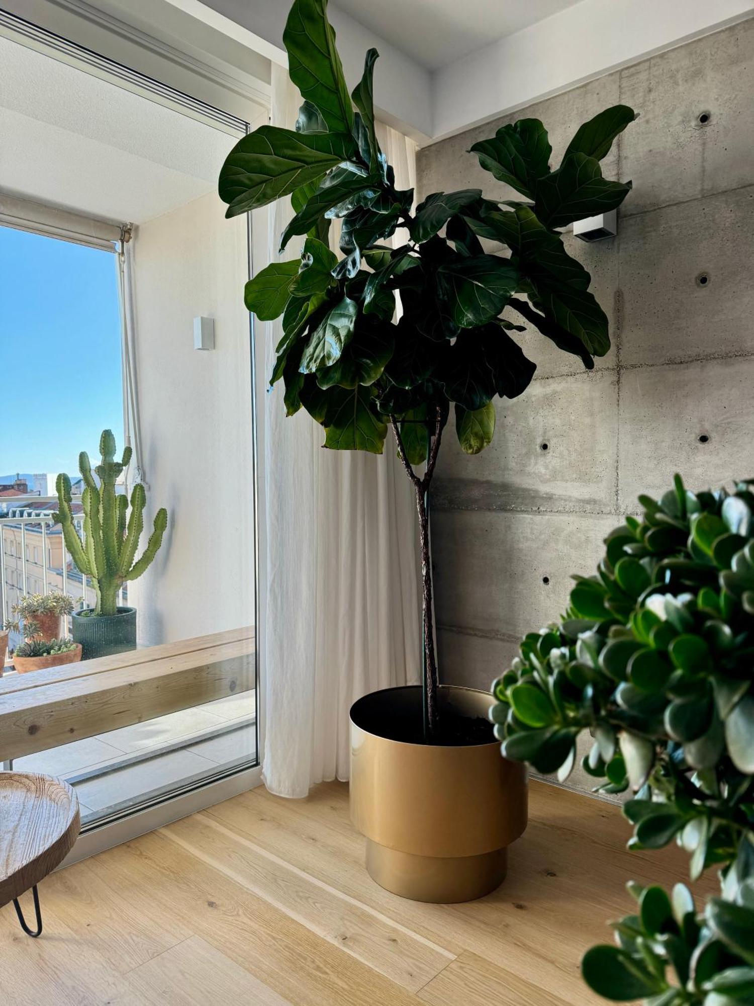 Ferienwohnung D'Art Penthouse Split Exterior foto